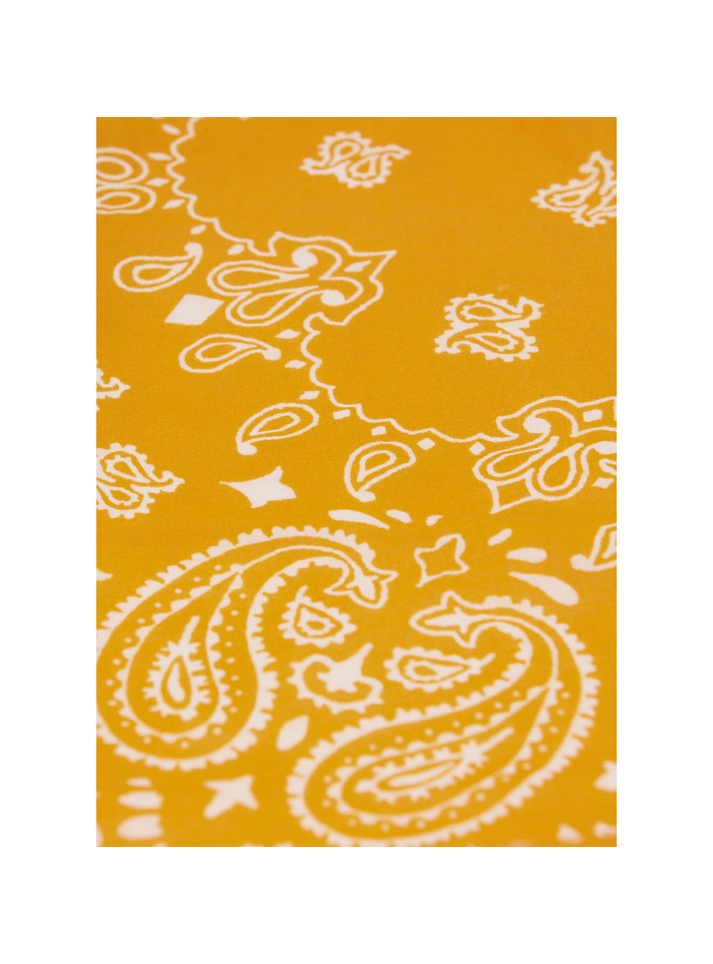 Orange 49