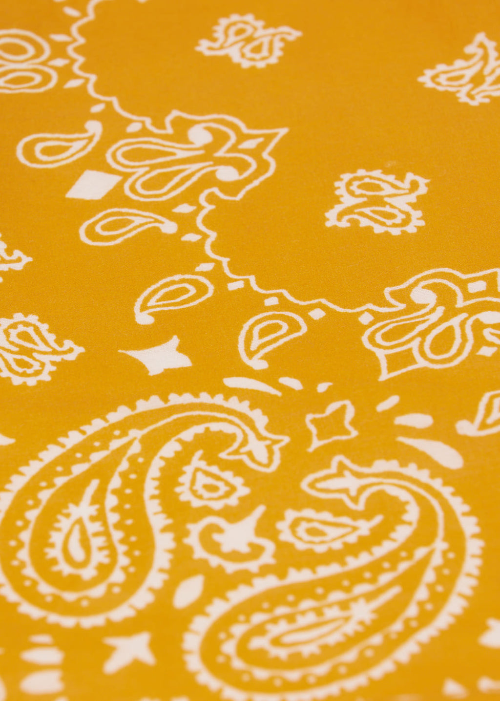 Orange 49