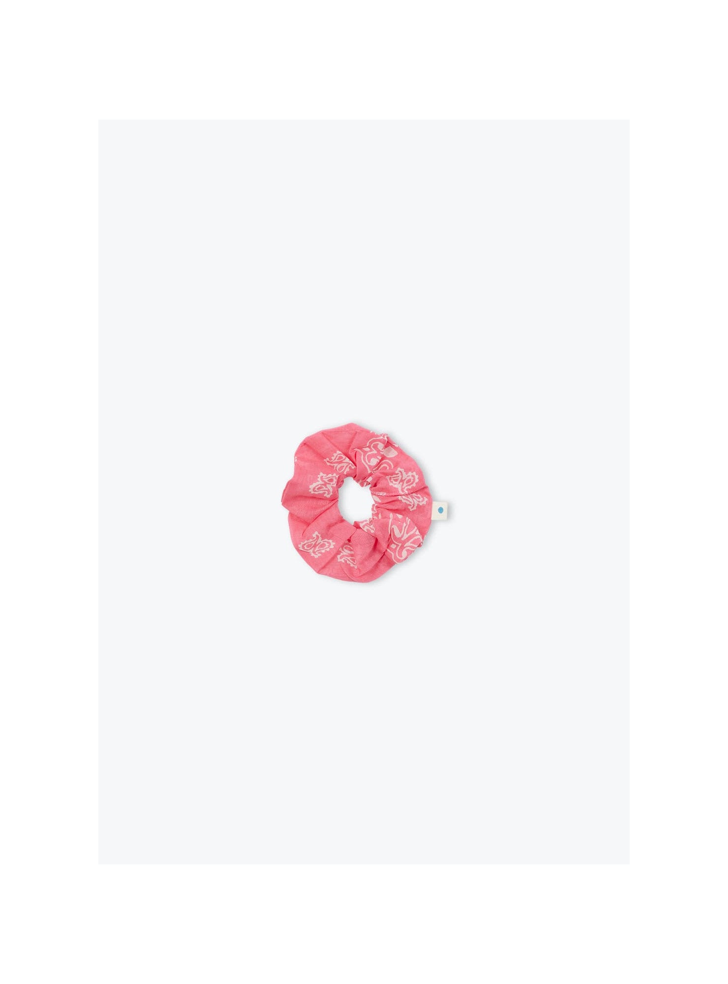 Rose 13