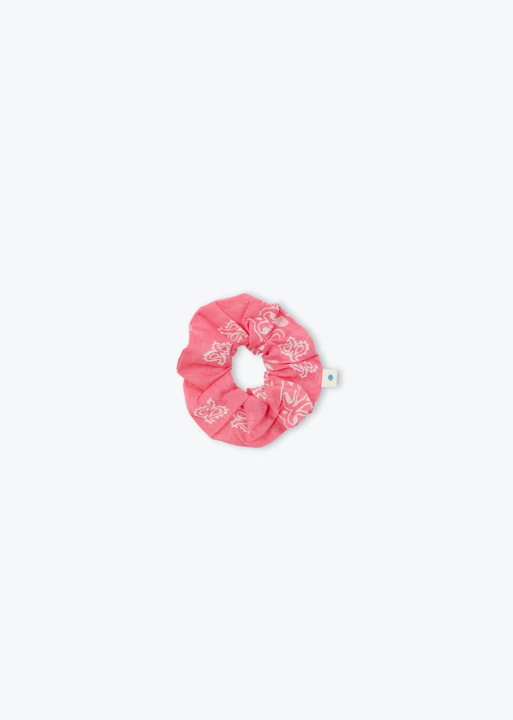Rose 13