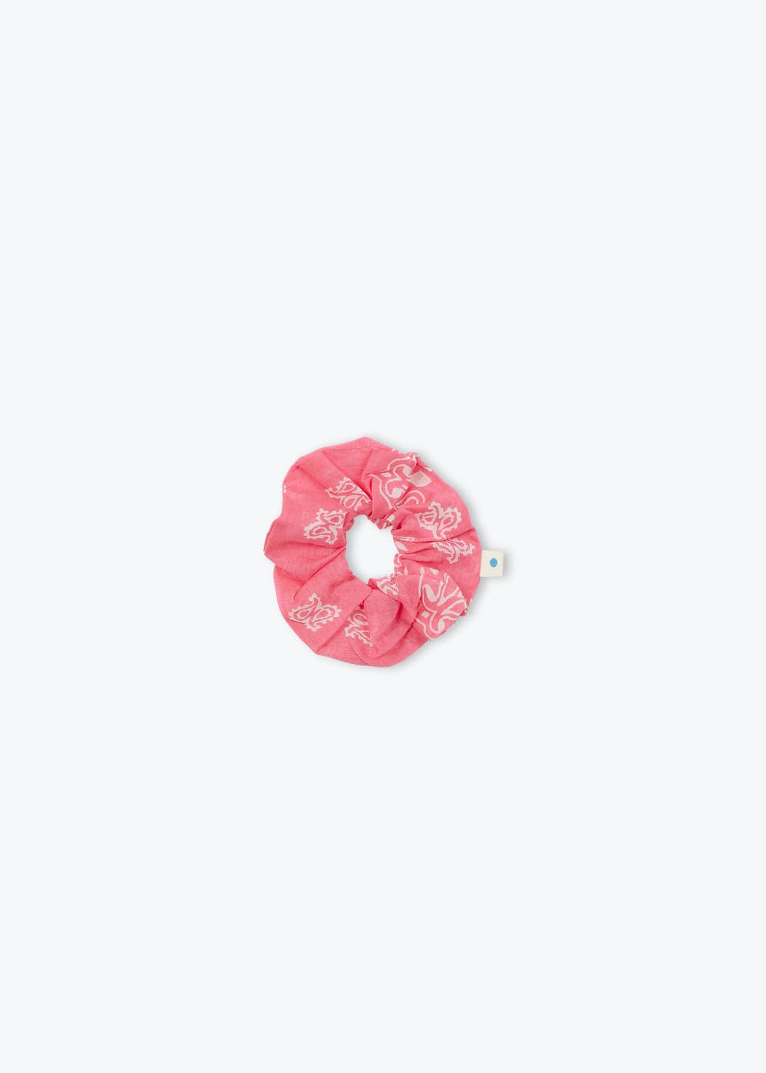 Rose 13