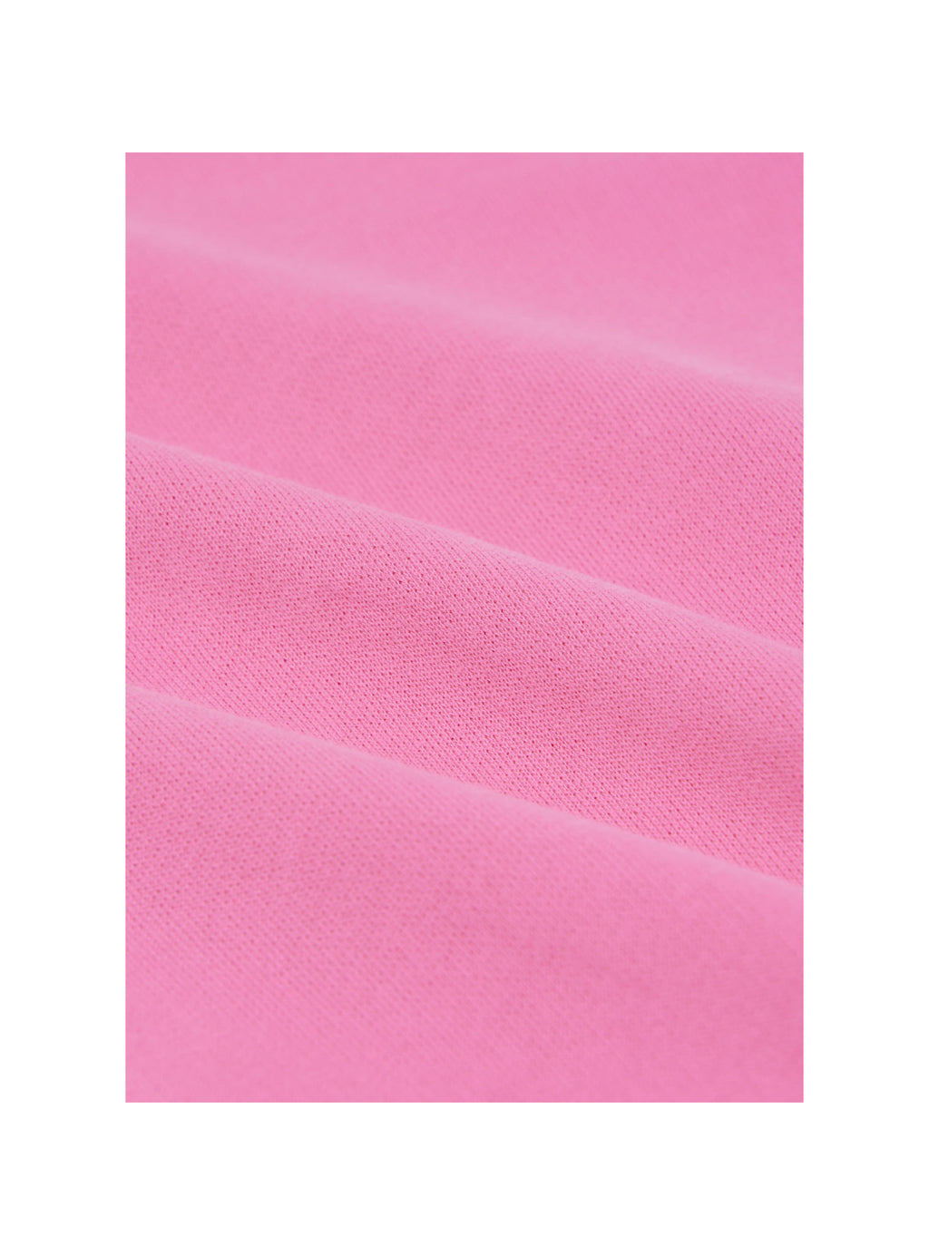 Rose 13